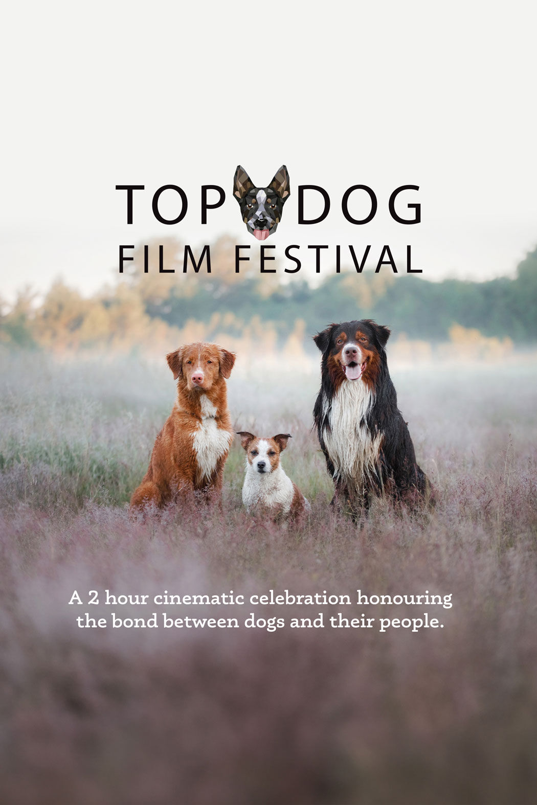 Top Dog Film Festival 2024