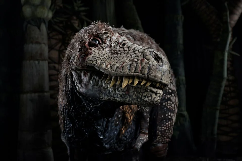 hero-3-trex-2-credit-david-collins-1-1-jpg.jpg