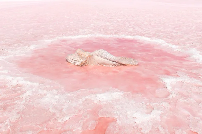 Beneath the Surface