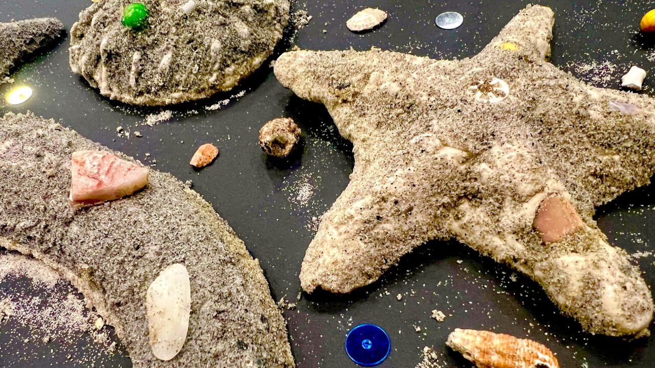 Little ArtLab | Sea Sculptures