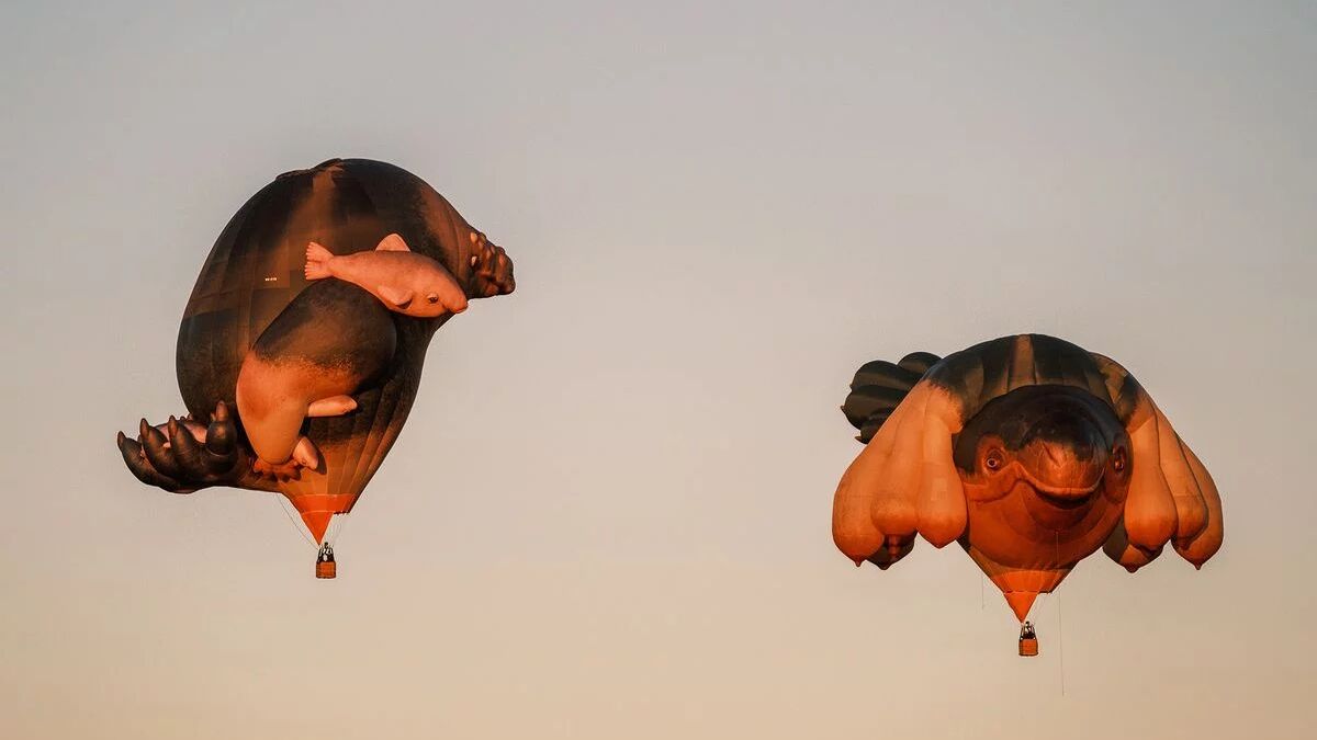 First Light | Skywhales Across Australia