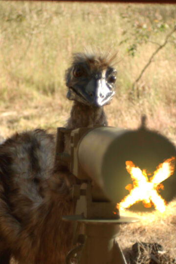 GCFF24: The Emu War