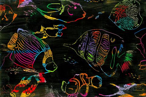 ArtLab | Night Reef
