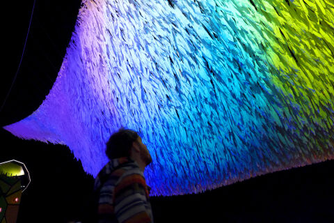 Luminara