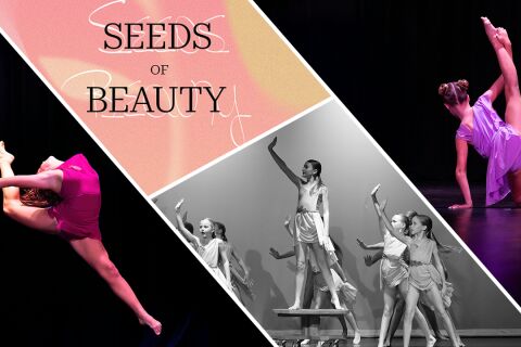 Seeds of Beauty- Kingscliff Performing Arts