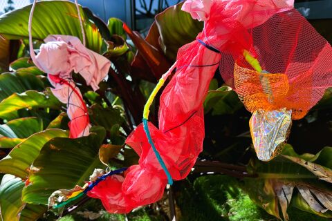 Potential & Possibilities: Exploring Materiality