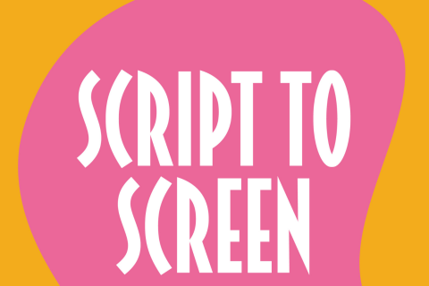 Gold Coast Film Festival Script To Screen