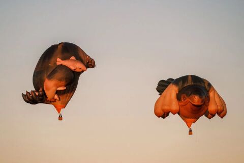 First Light | Skywhales Across Australia 