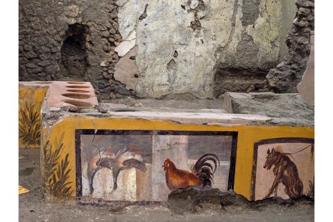 Inside Pompeii – Floor Talk with Roman Historian Dr Kit Morrell