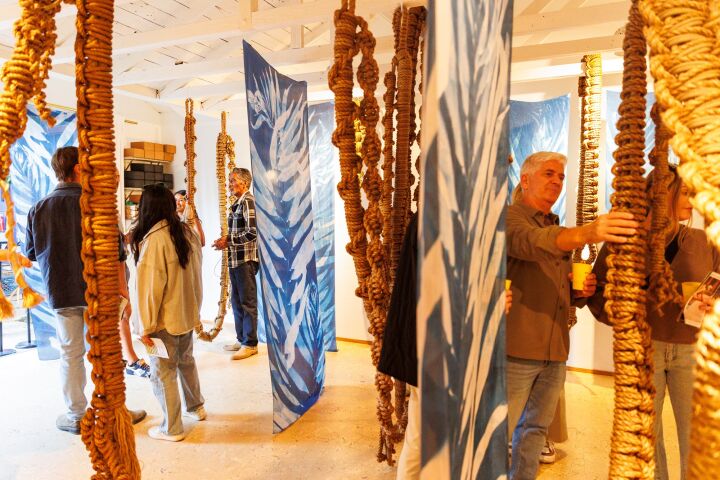 Solento Surf Festival Art Exhibit